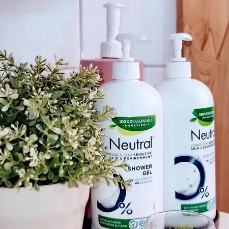 Lejlighed Modern Rustic