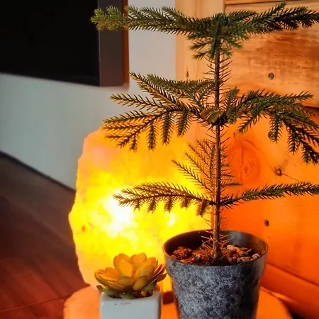 Modern Rustic *