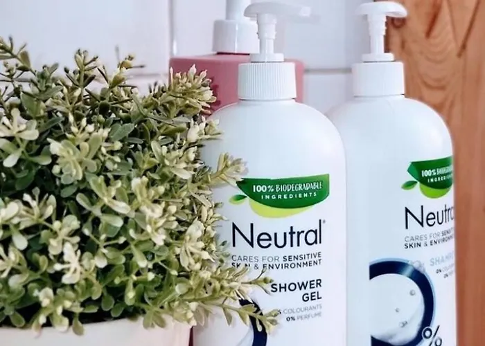 Lägenhet Modern Rustic